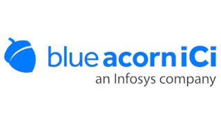 Blue Acorn iCi Logo